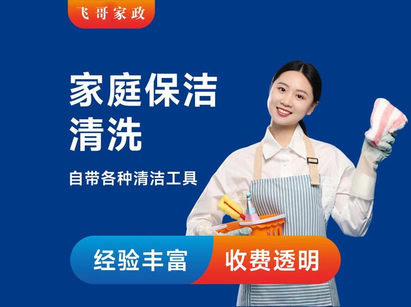 专业家政