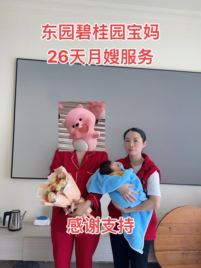 昆明家政：城市的温馨守护者